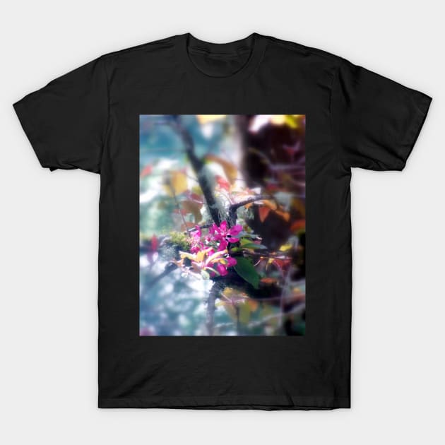 red Malus 'Radiant' crab apple blossoms#13 T-Shirt by DlmtleArt